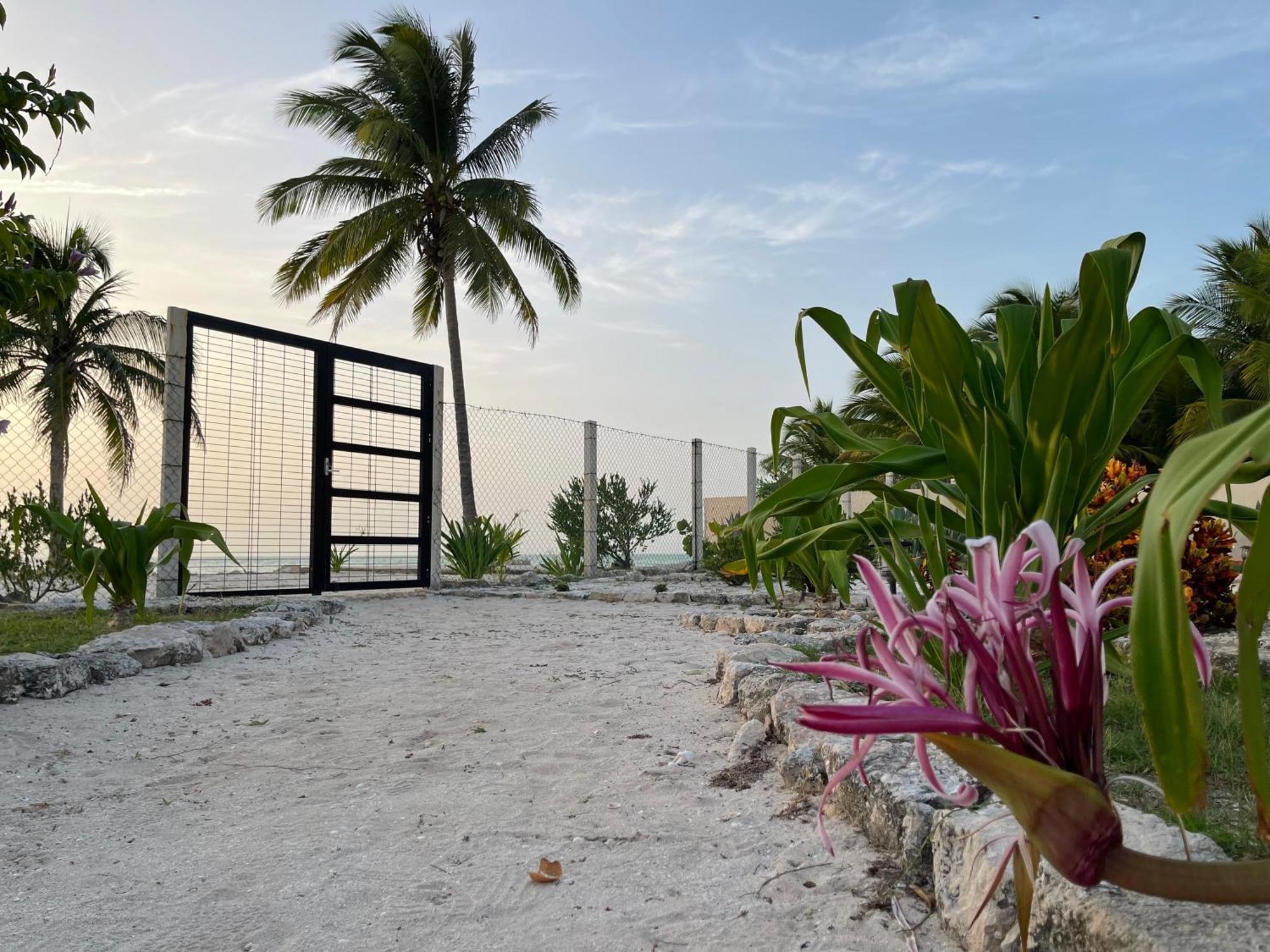 Bremar 85 Private Place - Adults Only เซเลสตุน ภายนอก รูปภาพ